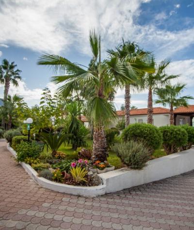 Giardino tropicale con palme, fiori colorati e vialetto pavimentato sotto un cielo sereno.