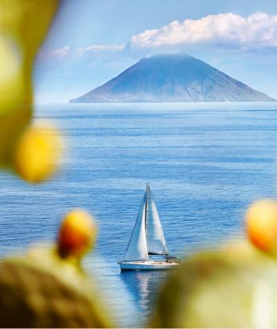 Barca a vela naviga verso un'isola vulcanica, incorniciata da piante di cactus.