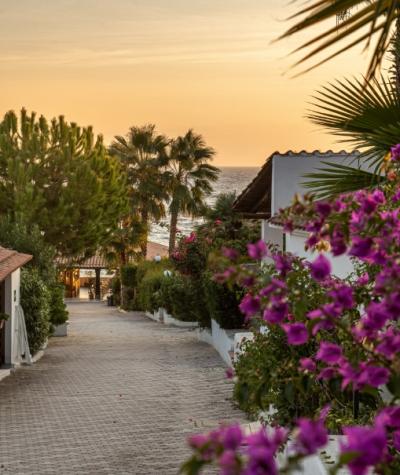 Tramonto su strada fiorita con vista mare e palme in lontananza.